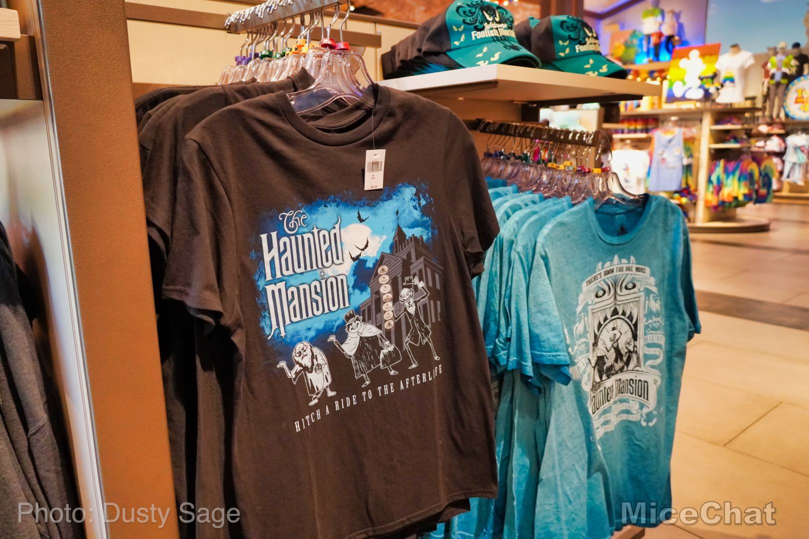 , Disneyland Update – Matterhorn Mischief, Train Trouble, and Haunted Happenings