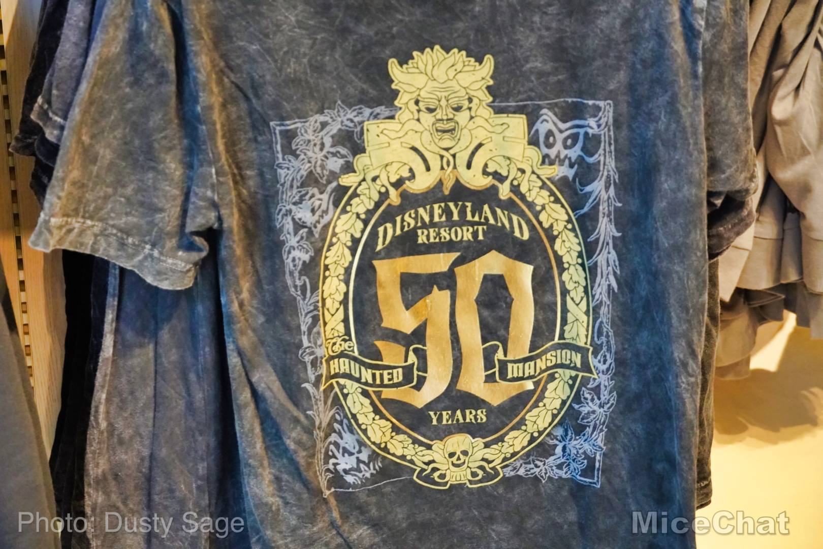 , Disneyland Update – Matterhorn Mischief, Train Trouble, and Haunted Happenings