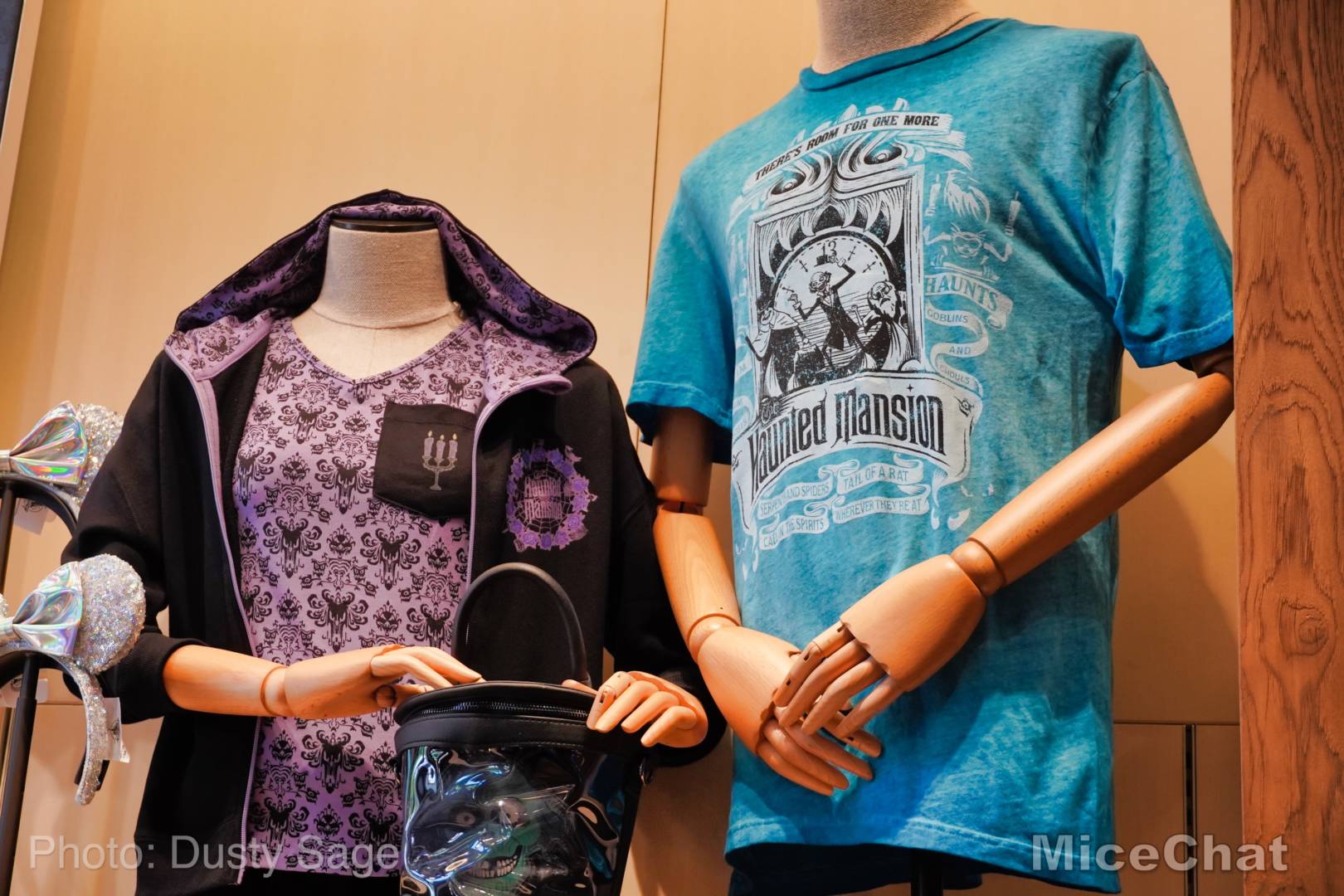 , Disneyland Update – Matterhorn Mischief, Train Trouble, and Haunted Happenings