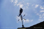 Disneyland-Haunted-Mansion-weather-Vane-2
