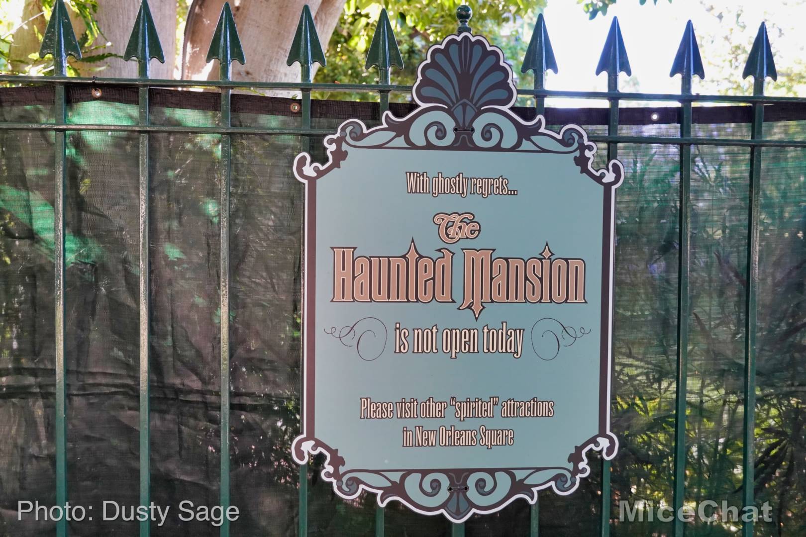 , Disneyland Update: Entertainment Trick & Halloween Treat