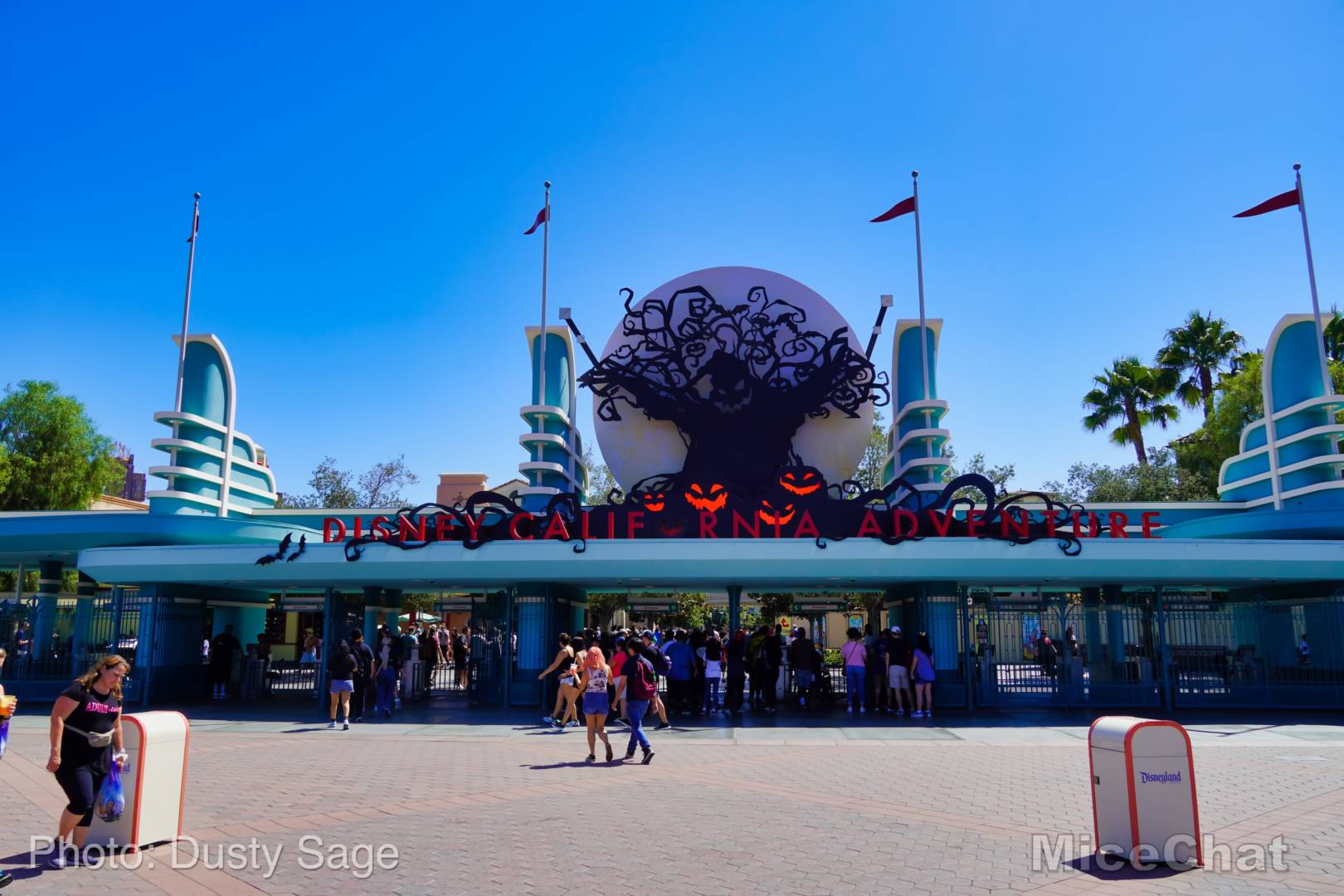 , Disneyland Update: Entertainment Trick & Halloween Treat