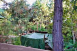 Disneyland-Redwood-Creek-Construction