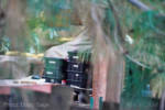 Disneyland-Redwood-Creek-Construction-5