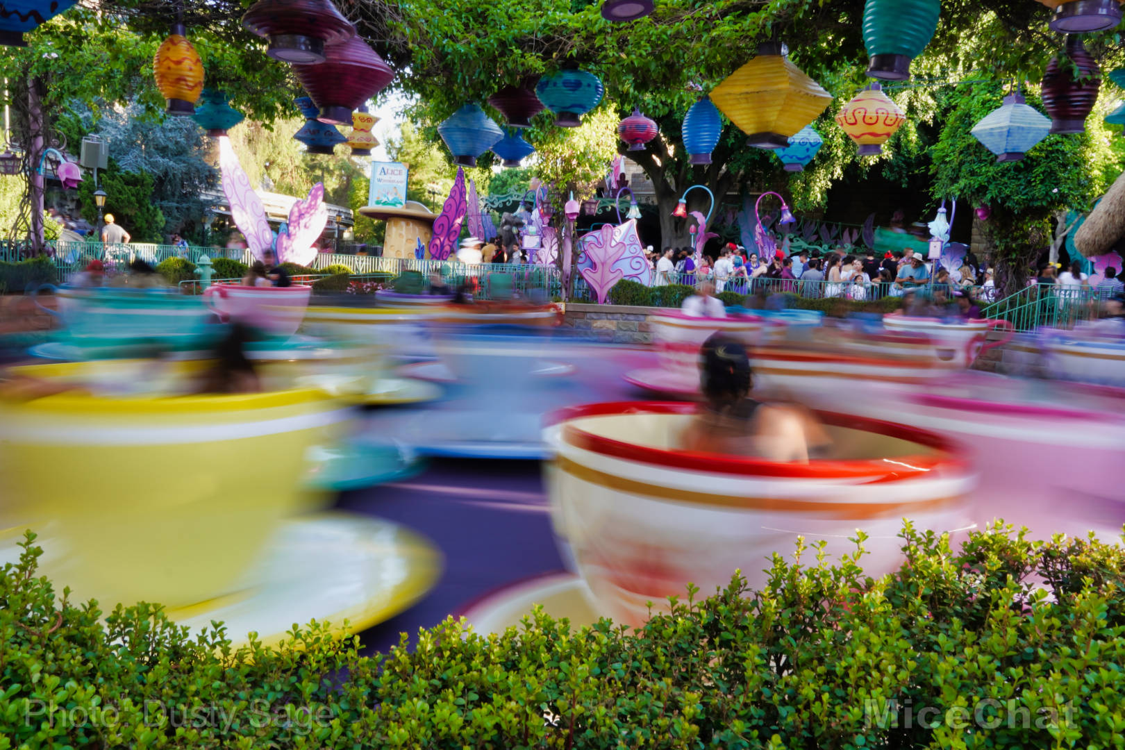, Disneyland Update – The Billion Dollar Question