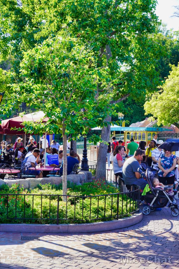 , Disneyland Update – Matterhorn Mischief, Train Trouble, and Haunted Happenings