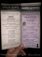 Disneyland-update-Mansion-Event-Guide-Yeh-2