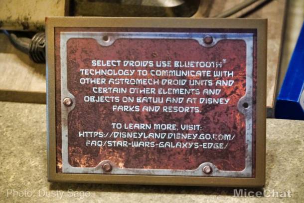 , Disneyland Update – Matterhorn Mischief, Train Trouble, and Haunted Happenings