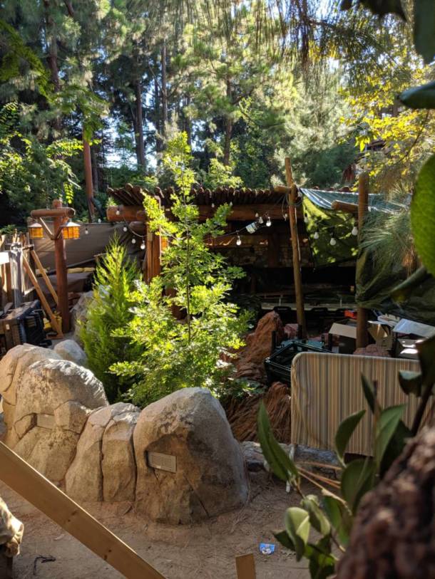, Disneyland Update: Pumpkins, Crowds & Bees Buzz Into Disneyland
