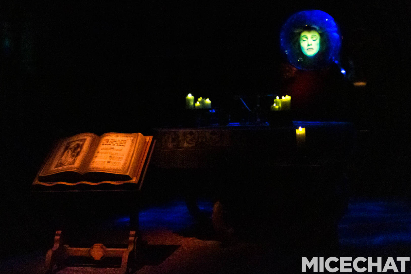 , Disneyland’s Haunted Mansion: 50 Years of Magic, Mystery and Weirdness