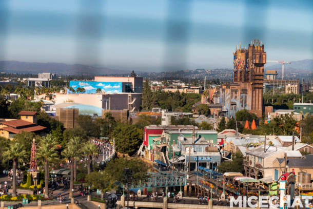 , Disneyland Update: Pumpkins, Crowds & Bees Buzz Into Disneyland