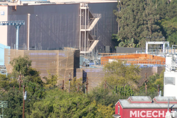 , Disneyland Update: Pumpkins, Crowds &#038; Bees Buzz Into Disneyland