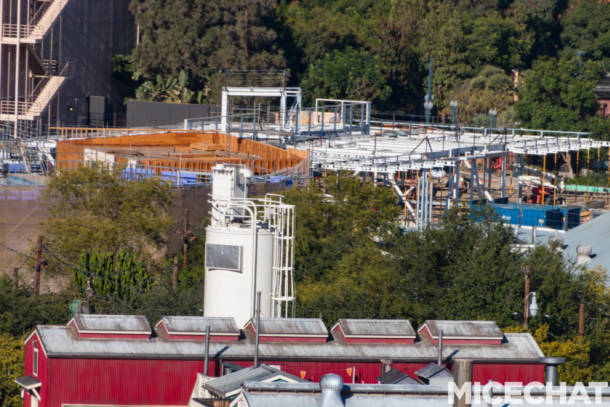 , Disneyland Update: Pumpkins, Crowds &#038; Bees Buzz Into Disneyland