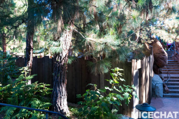 , Disneyland Update: Pumpkins, Crowds & Bees Buzz Into Disneyland