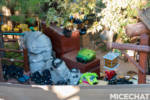 IMG_8003