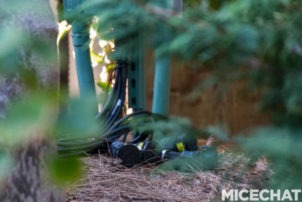 , Disneyland Update: Pumpkins, Crowds & Bees Buzz Into Disneyland