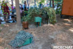 , Disneyland Update: Pumpkins, Crowds & Bees Buzz Into Disneyland