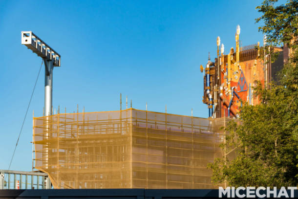 , Disneyland Update: Pumpkins, Crowds & Bees Buzz Into Disneyland