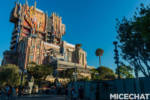 IMG_8077
