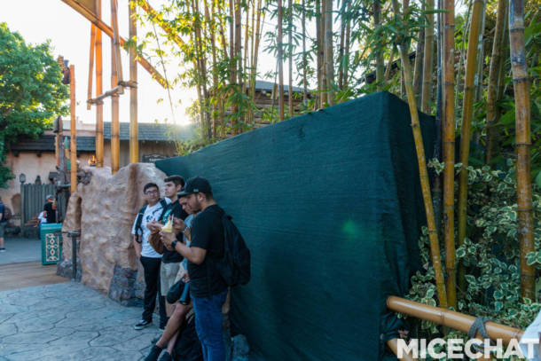 , Disneyland Update: Pumpkins, Crowds & Bees Buzz Into Disneyland