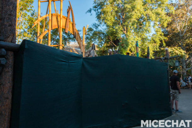 , Disneyland Update: Pumpkins, Crowds & Bees Buzz Into Disneyland
