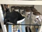 Wonderground-Gallery-Jerrod-Maruyama-Hipster-Mickey2