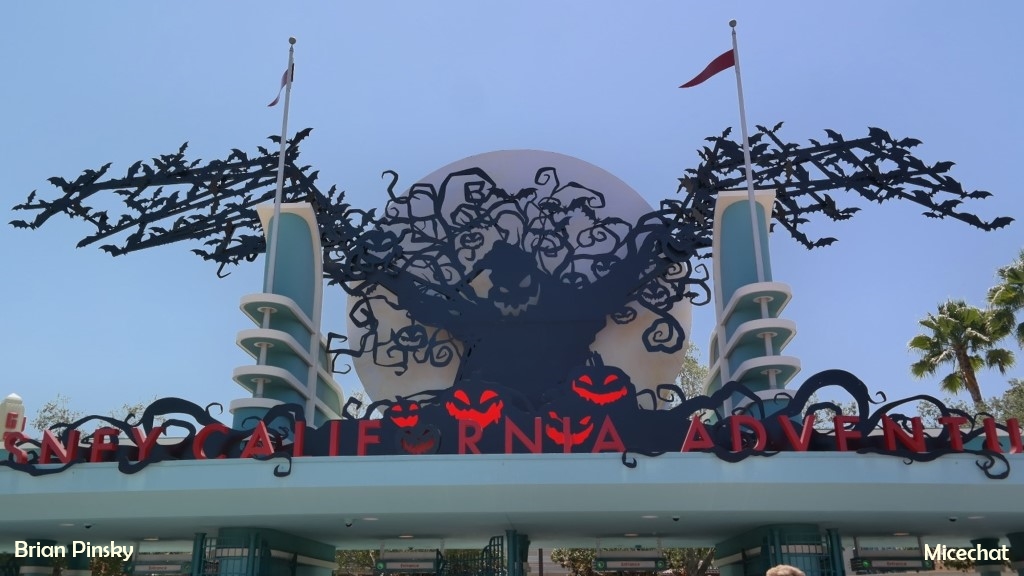 , Disneyland Update: Entertainment Trick & Halloween Treat