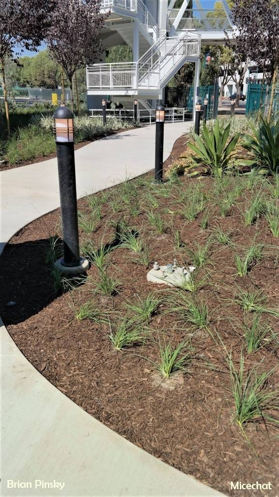 , Disneyland Update – The Bridge to Halloween Town