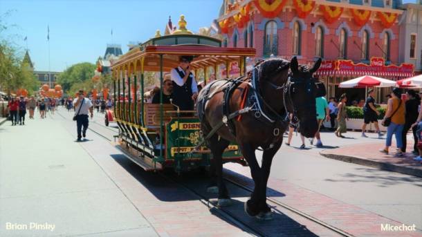 , Disneyland Update – The Bridge to Halloween Town