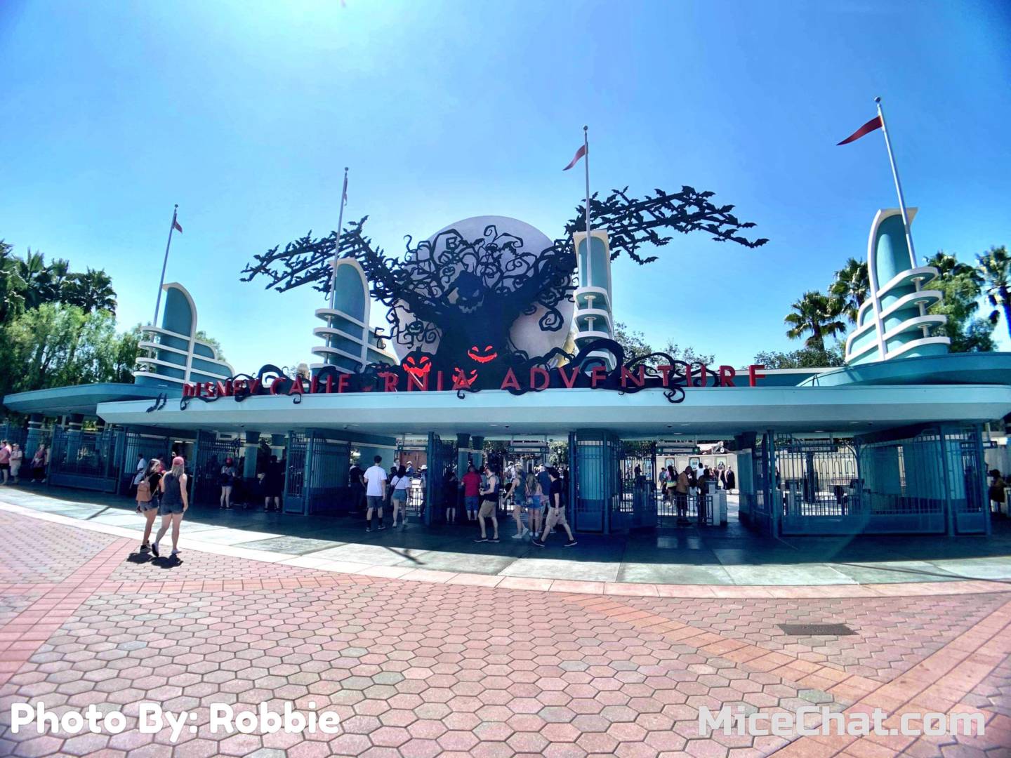 , Disneyland Update – Halloween Screams Into Disneyland