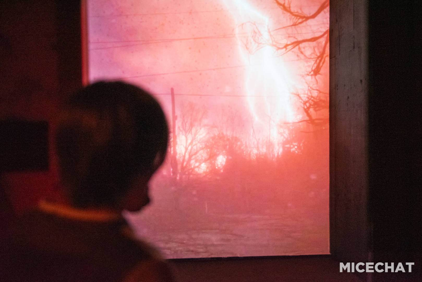 , Halloween Horror Nights Adds Humor at Universal Studios Hollywood