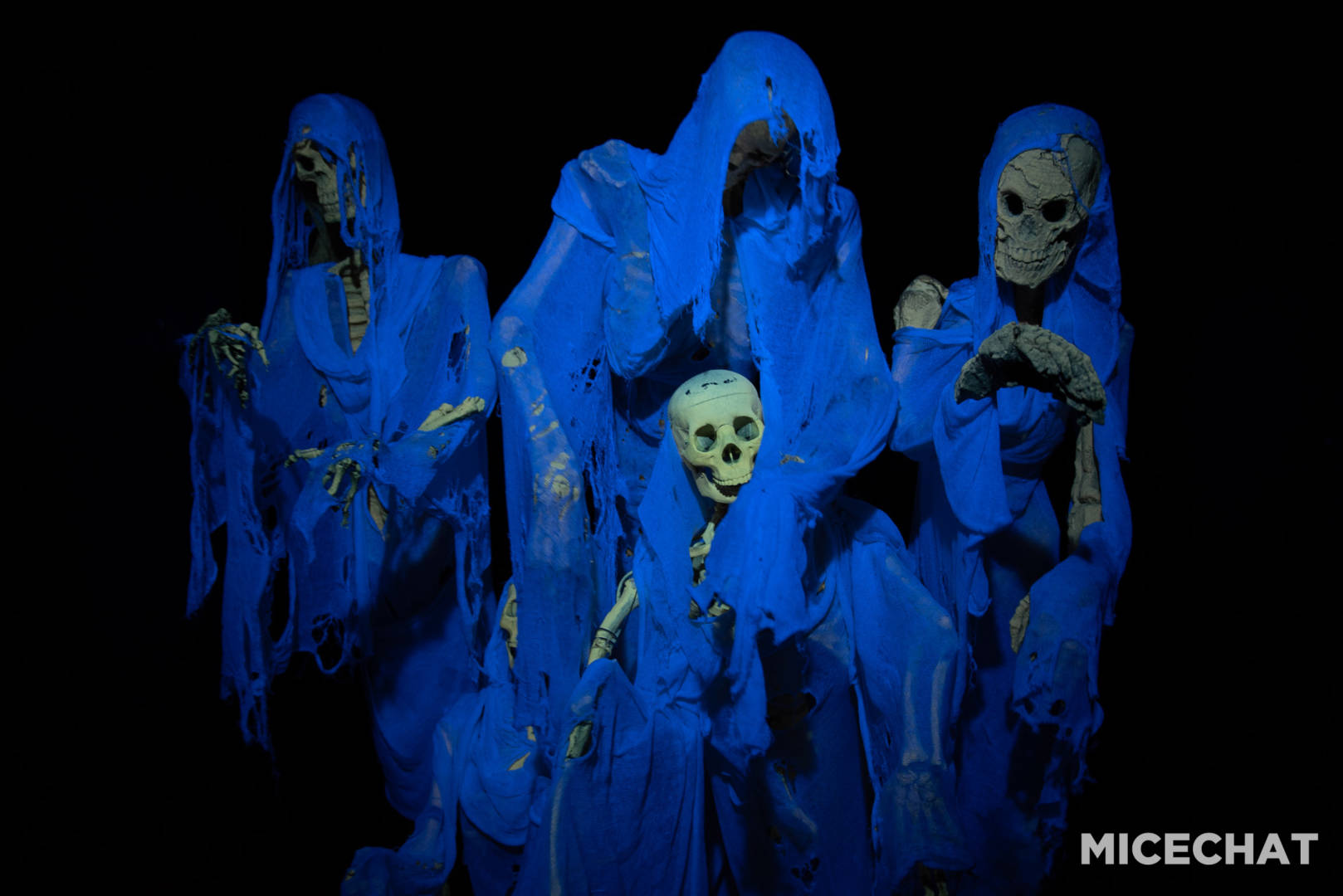 , Halloween Horror Nights Adds Humor at Universal Studios Hollywood