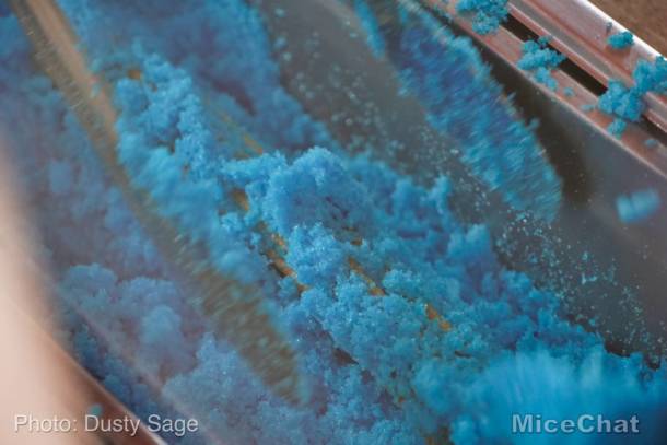 , Disneyland Update – Rocks Roll & Halloween Gold
