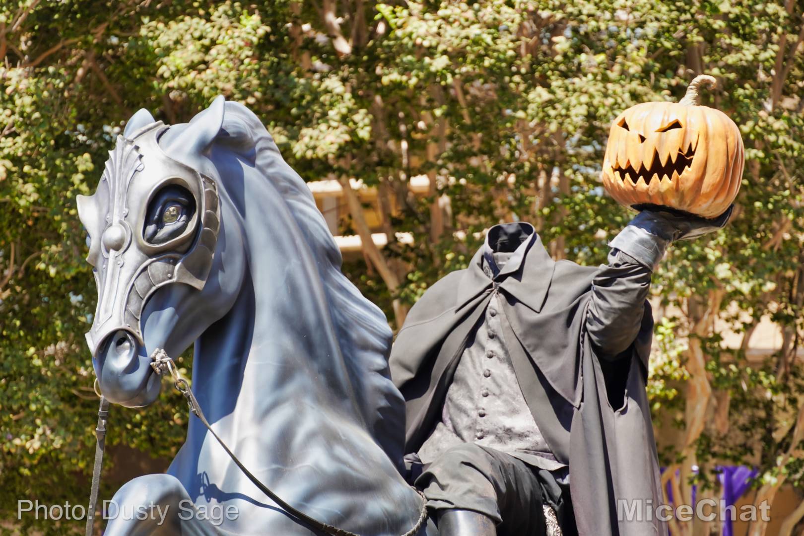 , Disneyland Update &#8211; Rocks Roll &#038; Halloween Gold