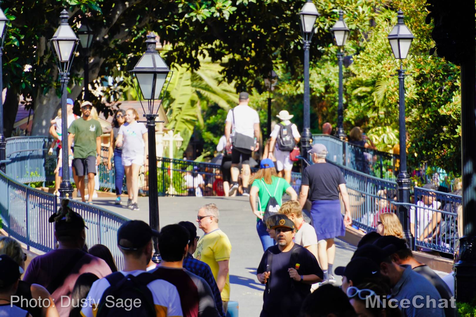 , Disneyland Update &#8211; Rocks Roll &#038; Halloween Gold