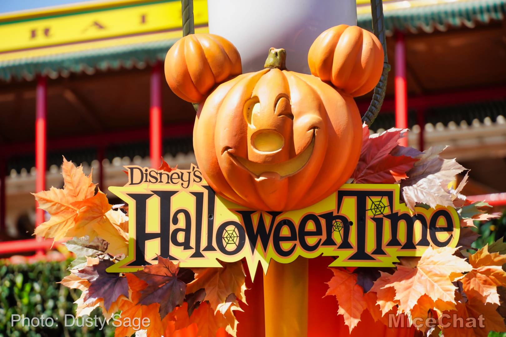 , Disneyland Update &#8211; Rocks Roll &#038; Halloween Gold