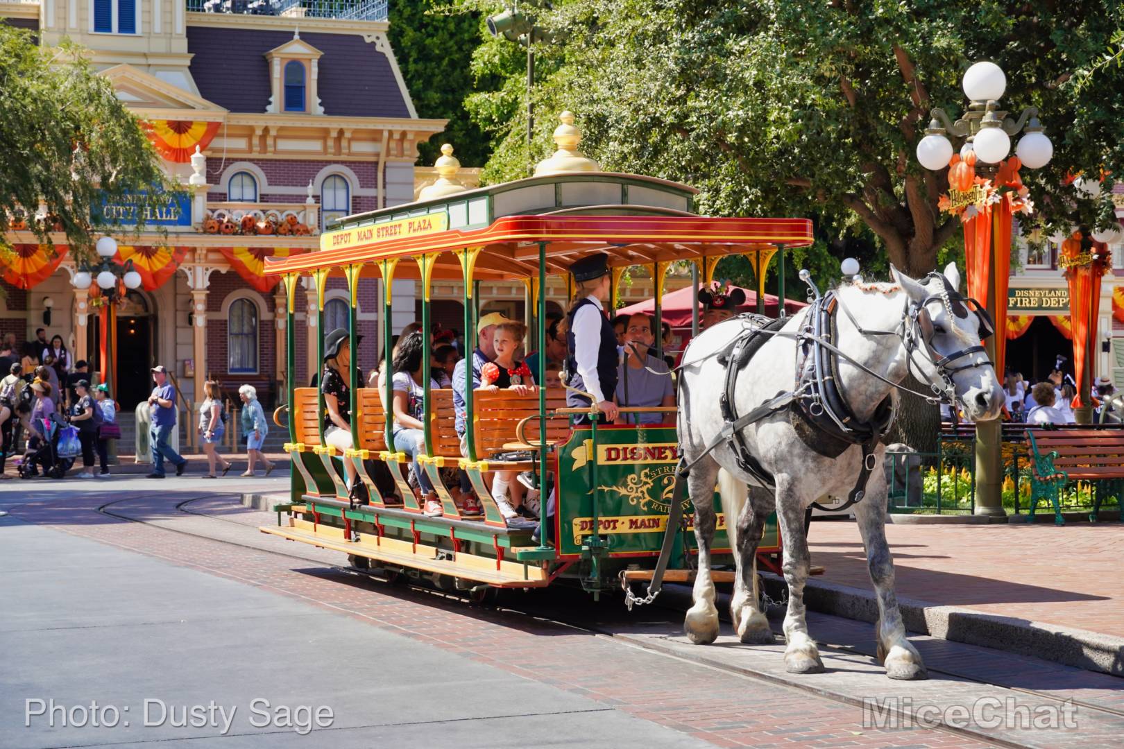 , Disneyland Update – Rocks Roll & Halloween Gold