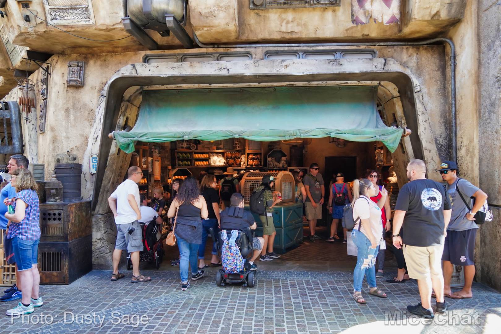 , Disneyland Update – Rocks Roll & Halloween Gold