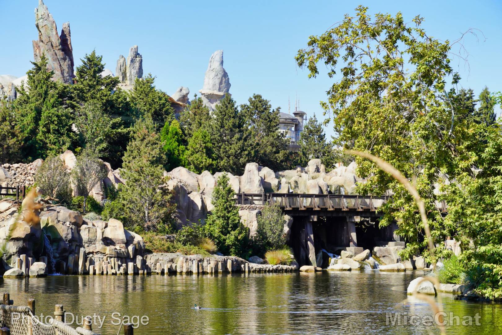 , Disneyland Update – Rocks Roll & Halloween Gold