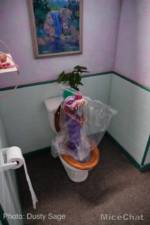 Disneyland-News-Killer-Klowns-toilet-Klown