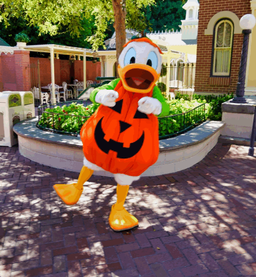 , Disneyland Update – Halloween Screams Into Disneyland