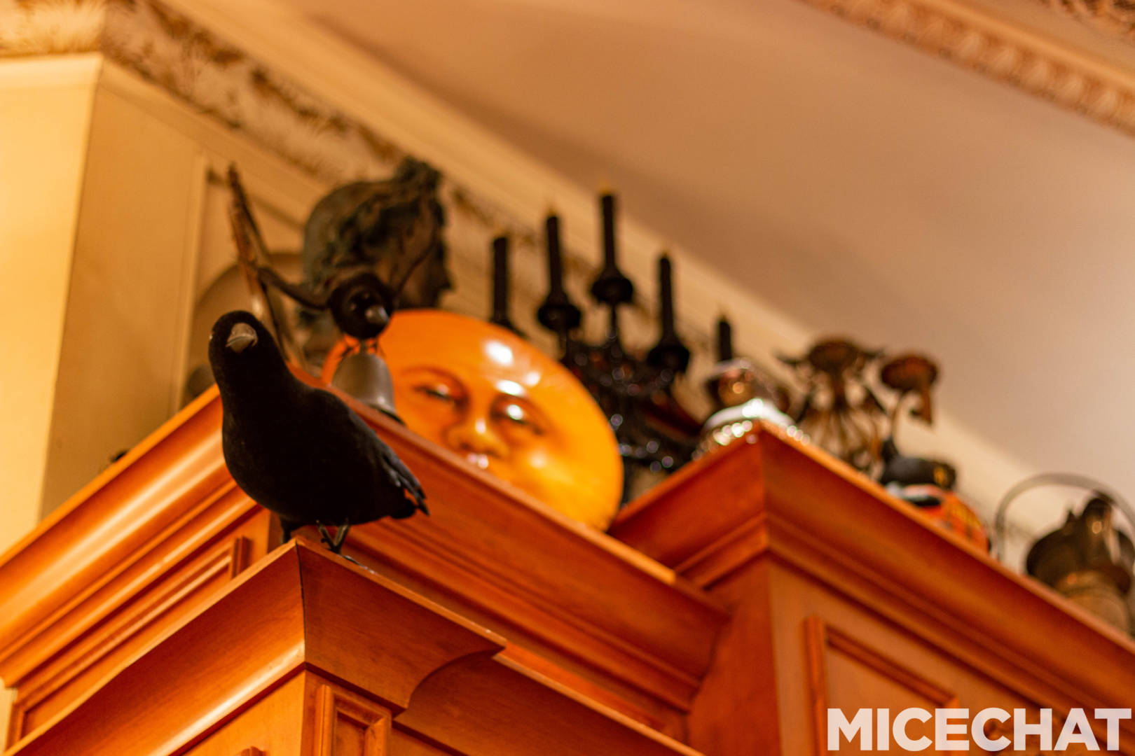 , Disneyland Update – Halloween Screams Into Disneyland