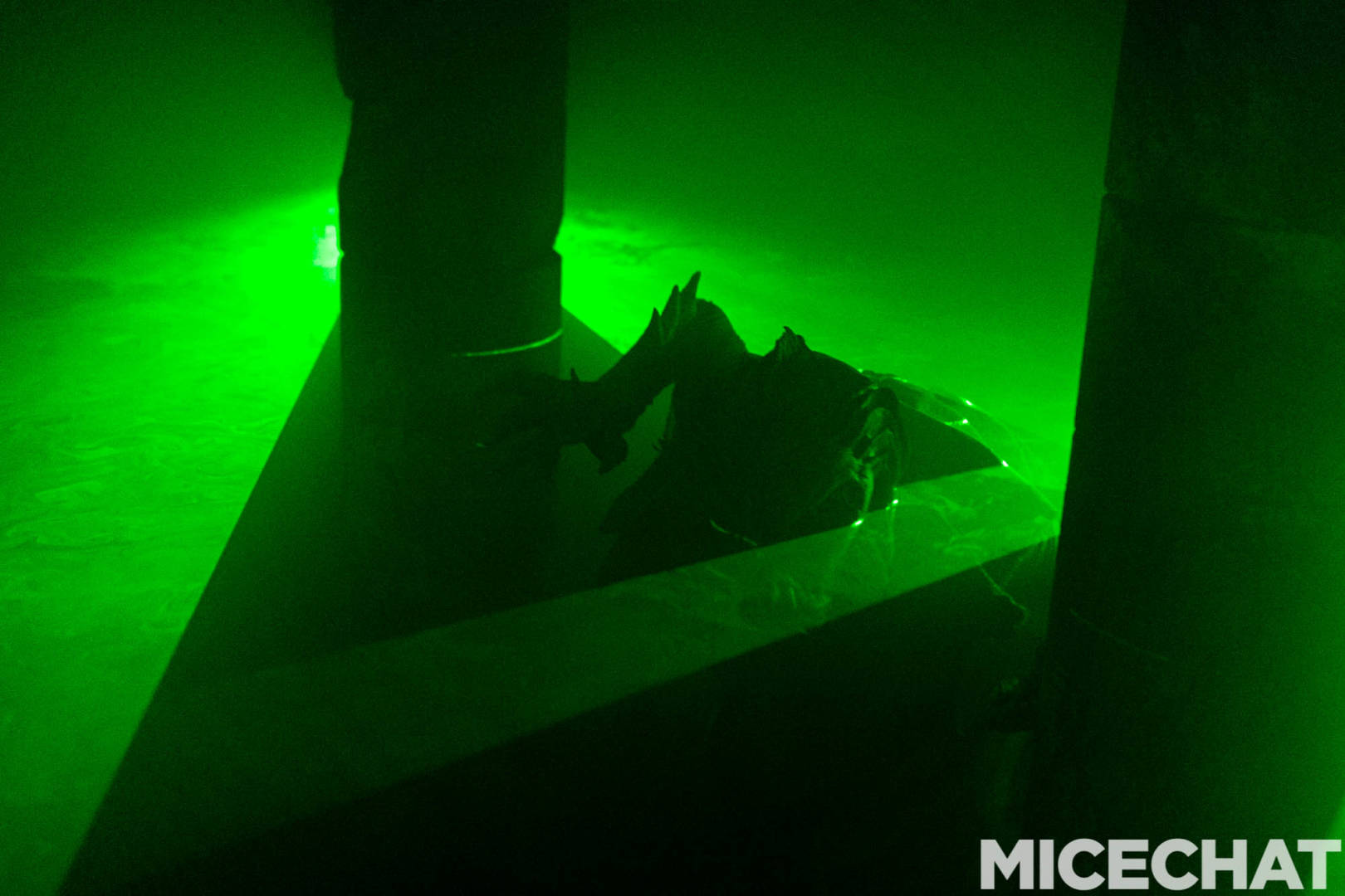 , The Fog Awaits: Your Guide to Knott’s Scary Farm Halloween Haunt 2022!