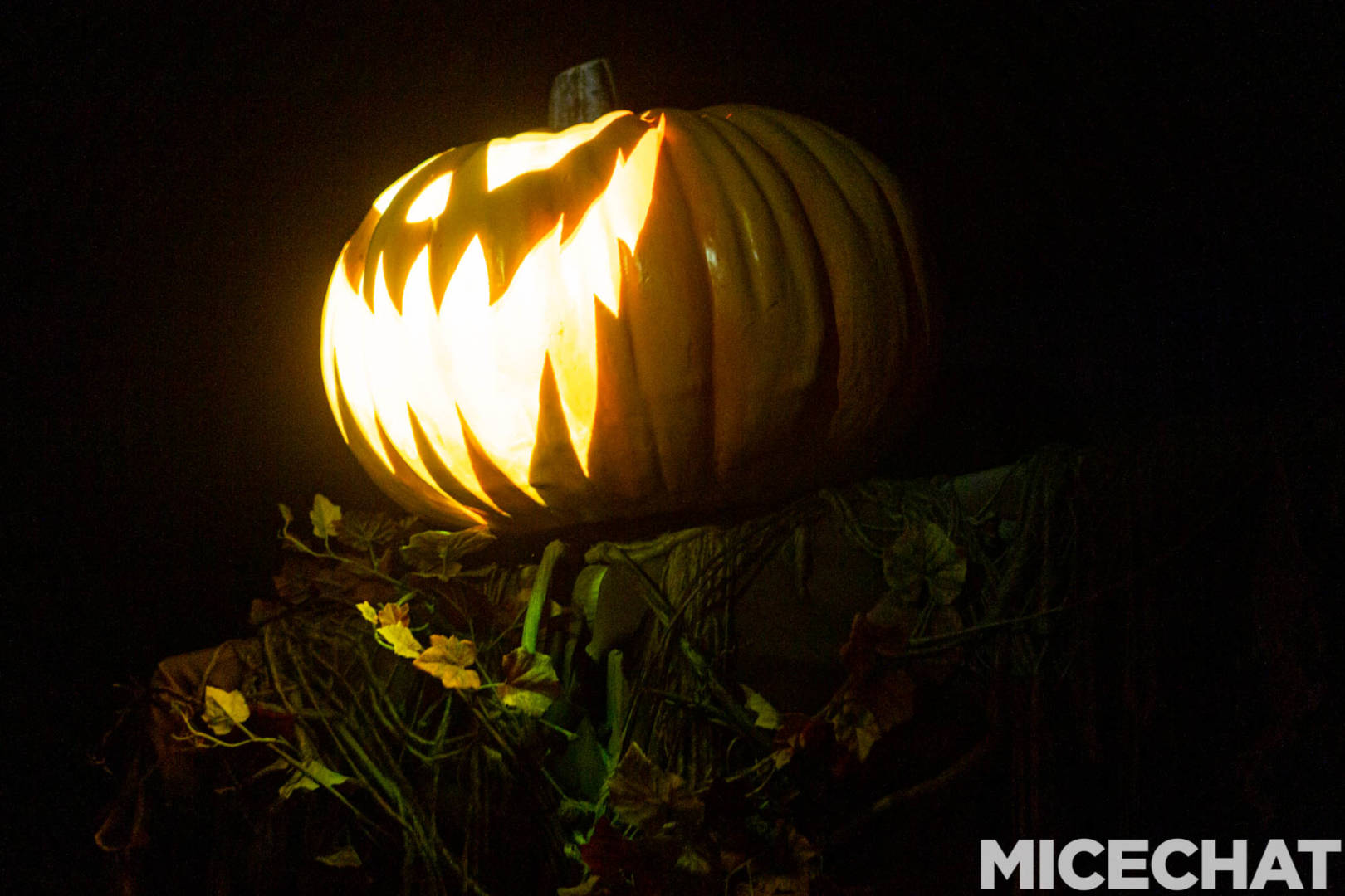 , The Fog Awaits: Your Guide to Knott’s Scary Farm Halloween Haunt 2022!