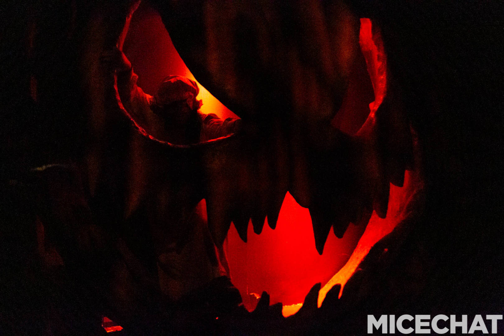 , The Fog Awaits: Your Guide to Knott’s Scary Farm Halloween Haunt 2022!