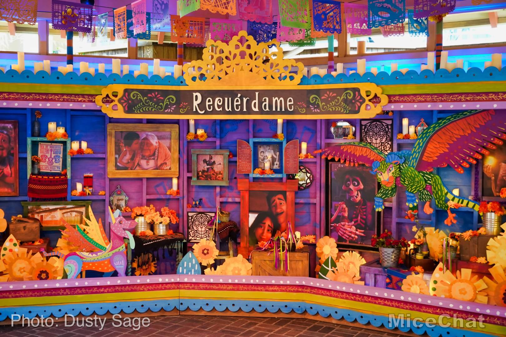 , Disneyland Update: Magic Key Crowds & Bats in the Belfry