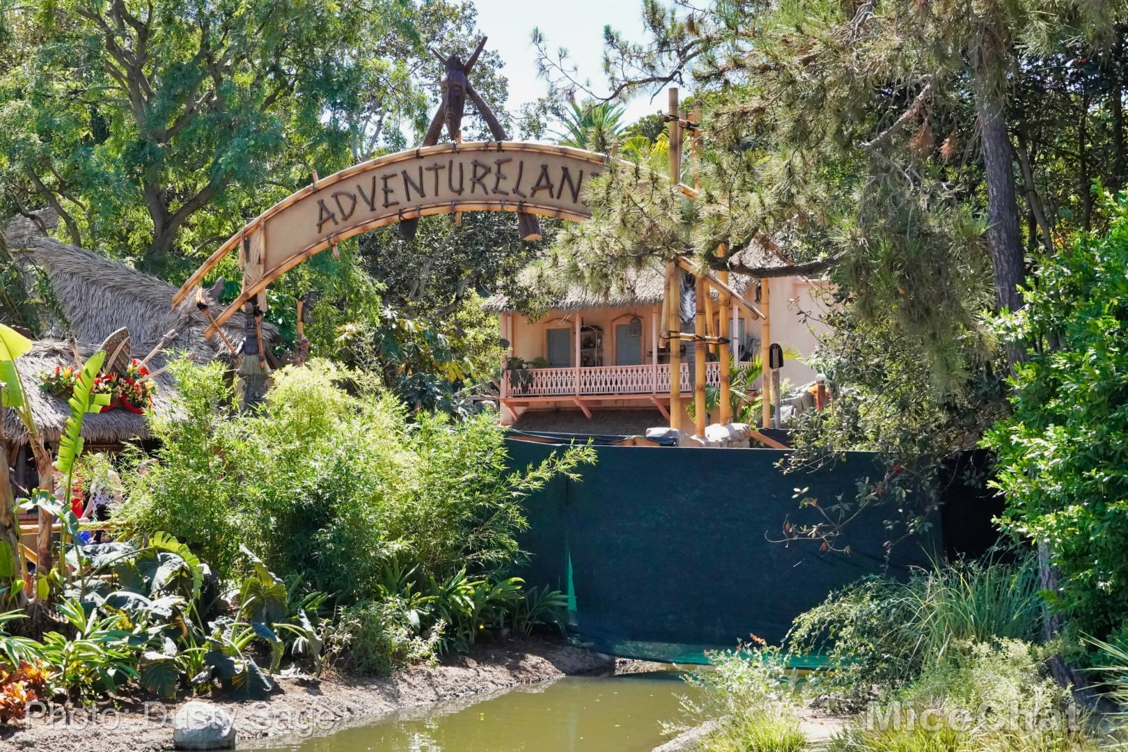 , Disneyland Update – Rocks Roll & Halloween Gold