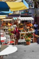 News-Disneyland-Halloween-main-street-10