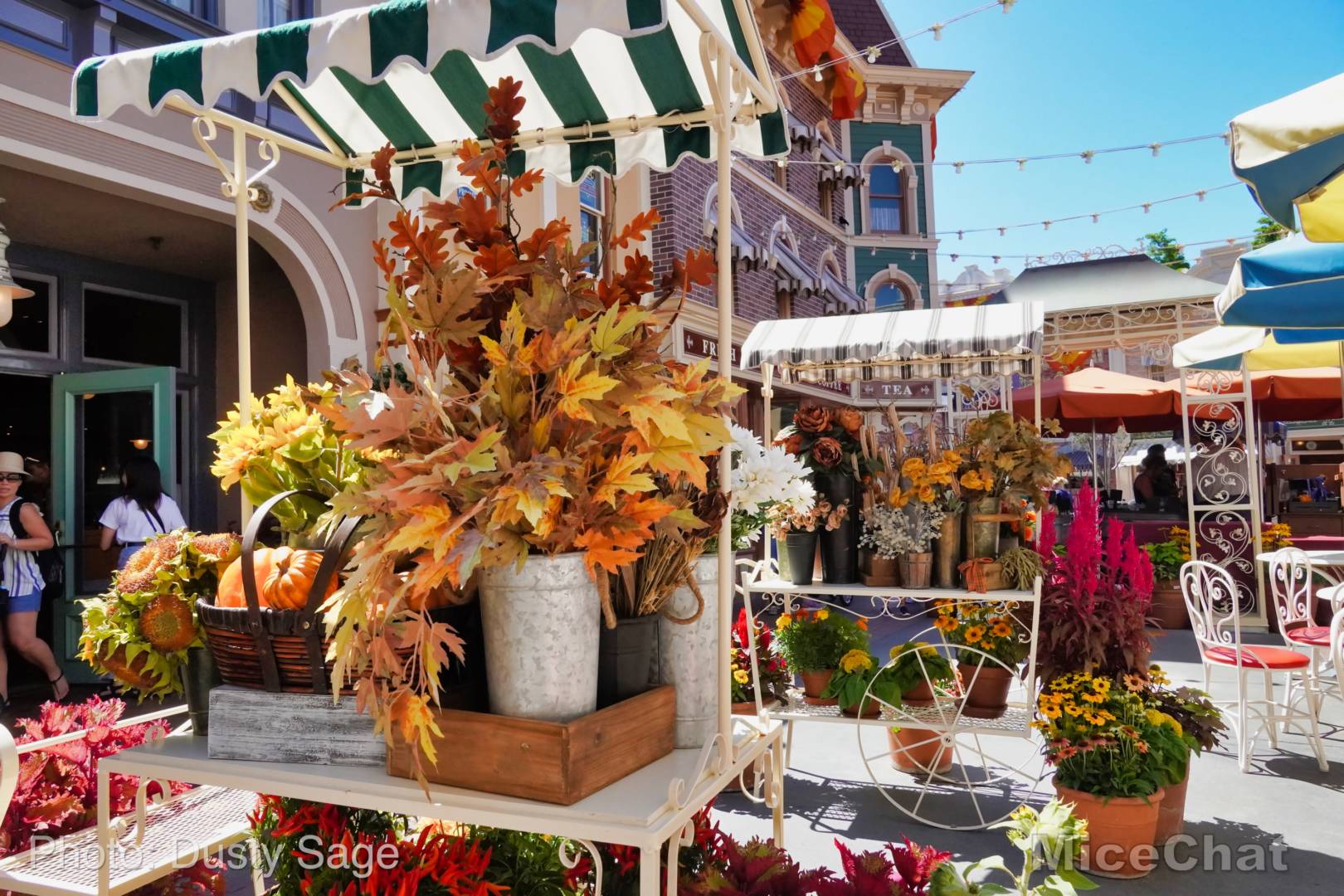 , Disneyland Update &#8211; Halloween Screams Into Disneyland