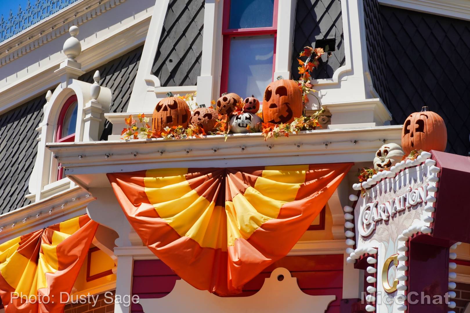 , Disneyland Update &#8211; Halloween Screams Into Disneyland